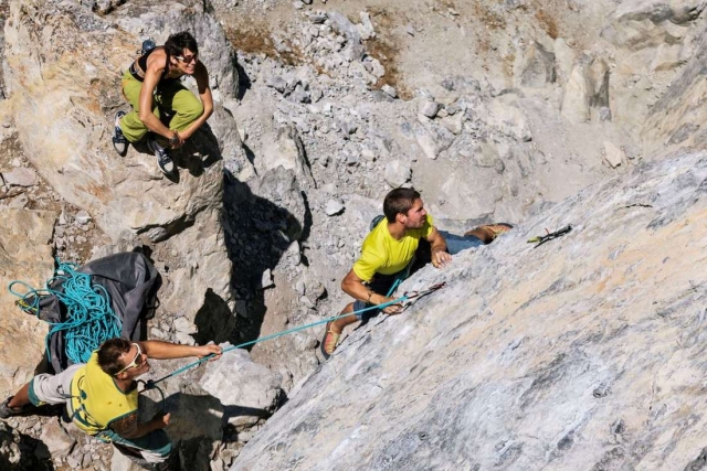 Expertos de la industria